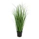 Poa fű műnövény, zöld 68 cm