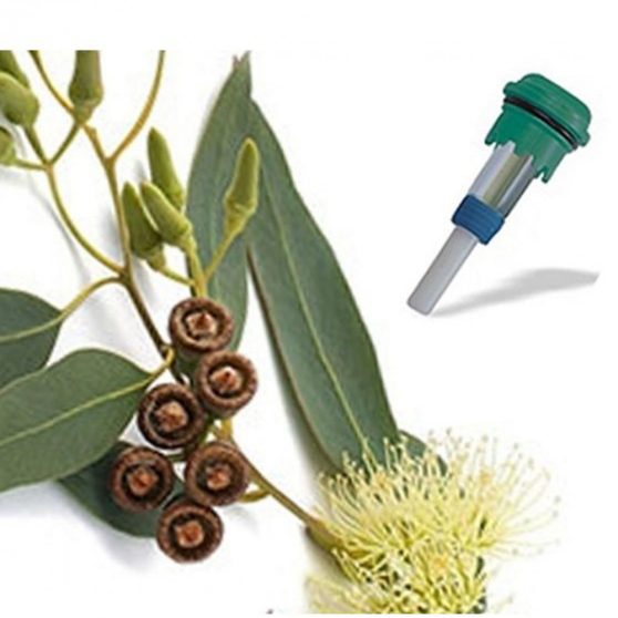 Aromaterápiás illatpatron Jakuzzihoz - Eucalyptus