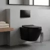 Delano fali rimless WC soft-close ülőkével